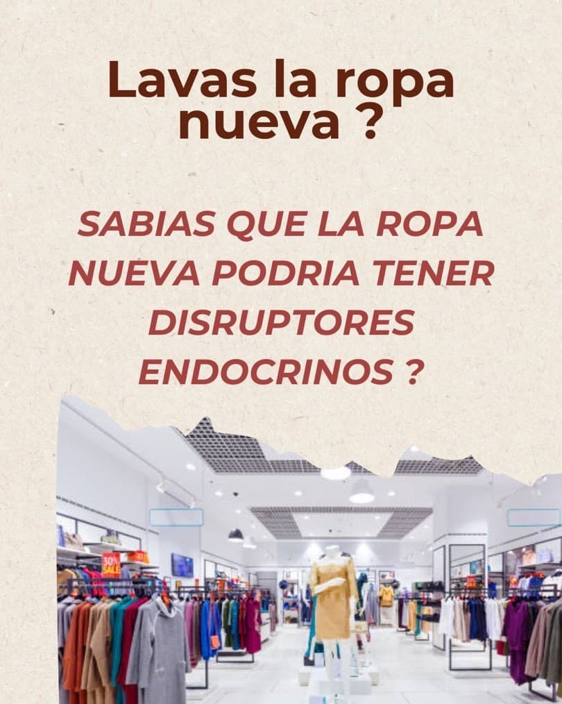 Factores del entorno y salud endocrina